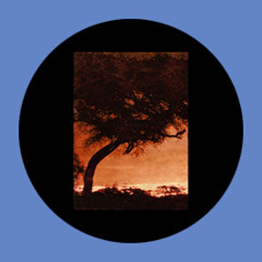 P7914 Vistas 7914 - Rosco Plastic Gobo