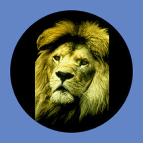P8851 Wildlife 8851 - Rosco Plastic Gobo