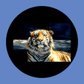 P8854 Wildlife 8854 - Rosco Plastic Gobo