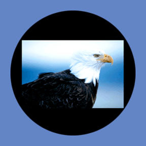 P8856 Wildlife 8856 - Rosco Plastic Gobo