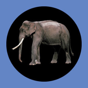 P8861 Wildlife 8861 - Rosco Plastic Gobo