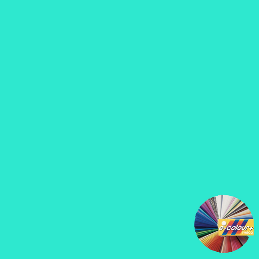 Rosco E Colour 219 Fluorescent Green