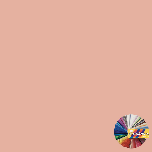 E238 Rosco E Colour - CSI To Tungsten