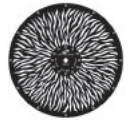 Rosco Infinity Disc #12 Radial Breakup