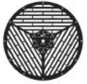 Rosco Infinity Disc #15 Triangle Breakup