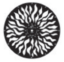 Rosco Infinity Disc #20 Course Radial Break