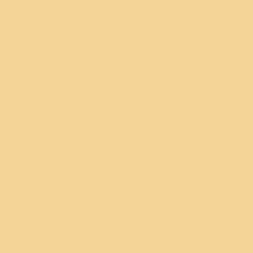 R3082 Rosco Cinegel - 1/2 Straw Grid Cloth