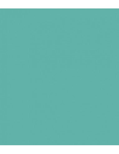 E242 Rosco E Colour - Fluorescent 4300K