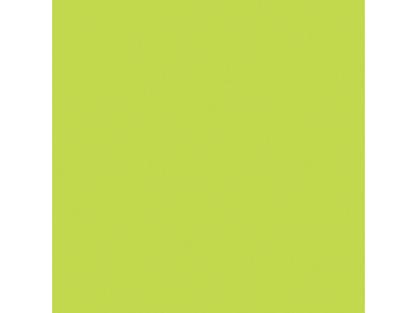 E505 Rosco E Colour - Sally Green