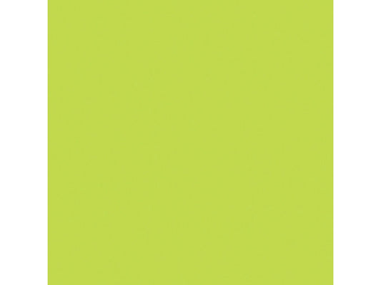 E505 Rosco E Colour - Sally Green